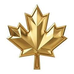 Health Canada Class II –