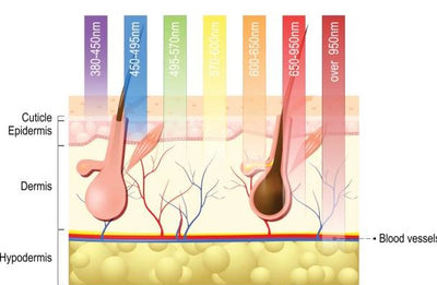 LED LIGHT THERAPY AS A NON-INVASIVE ANTI-AGING SOLUTION